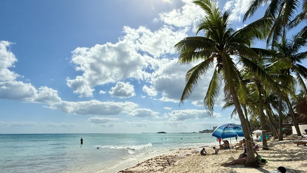 Scenic beach in Playa del Carmen, Mexico, featuring turquoise waters, swaying palm trees, and soft white sand, capturing the essence of a tropical Caribbean paradise