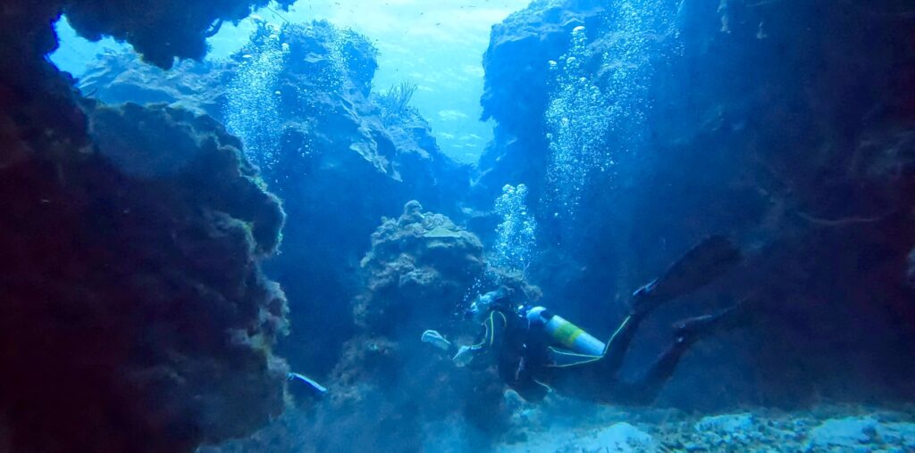 Scuba diver in the center of a vibrant reef in Cozumel, surrounded by clear blue waters and colorful marine life.