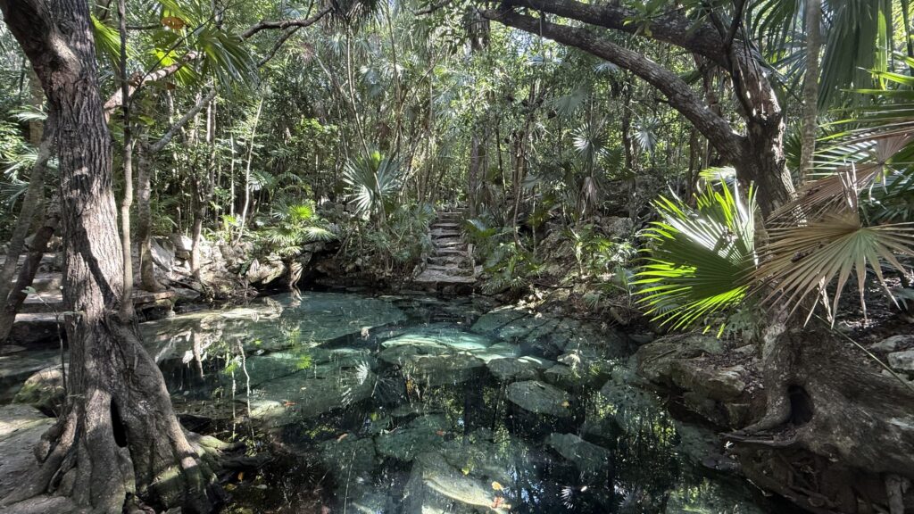 Private swimming area in Cenote Azul, featuring clear blue calm waters and surrounded by lush greenery, creating a tranquil and serene environment