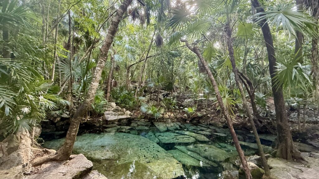 Private swimming area in Cenote Azul, featuring clear blue calm waters and surrounded by lush greenery, creating a tranquil and serene environment