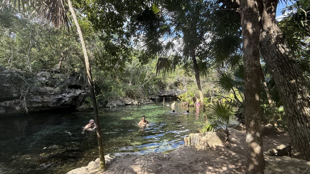 People swimming and snorkeling in the main section of Cenote Azul, enjoying the clear blue waters surrounded by natural rock formations and greenery.