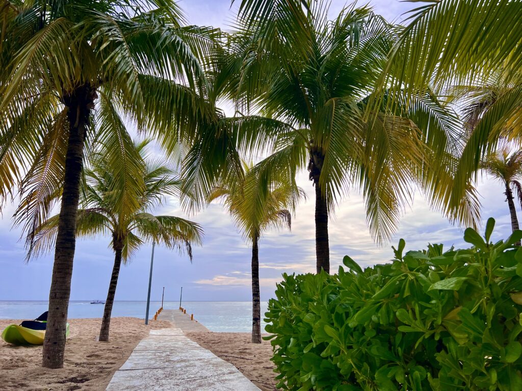 View of the dock in Cozumel with boats pulling up, palm trees, and turquoise waters creating a tropical paradise atmosphere.