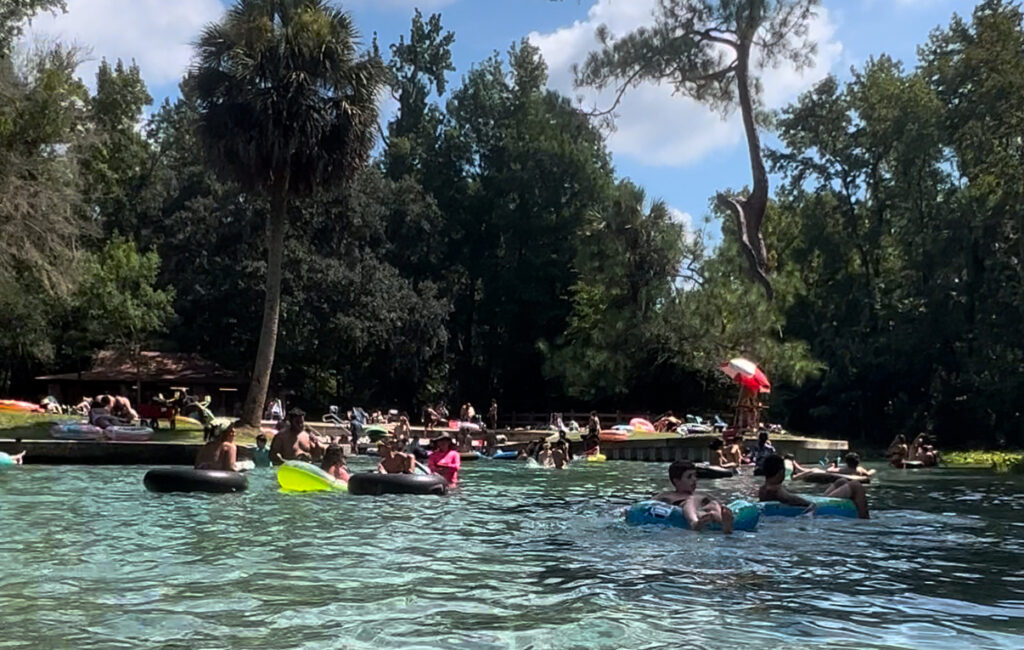 People floating in the main open area of Kelly Park Rock Springs in Florida, surrounded by clear spring waters and lush tropical scenery