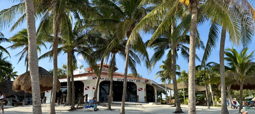 Serene view from the beach at Akumal Dive Center, showcasing palm trees in the foreground and a peaceful coastal scene in the background, perfect for diving and relaxation