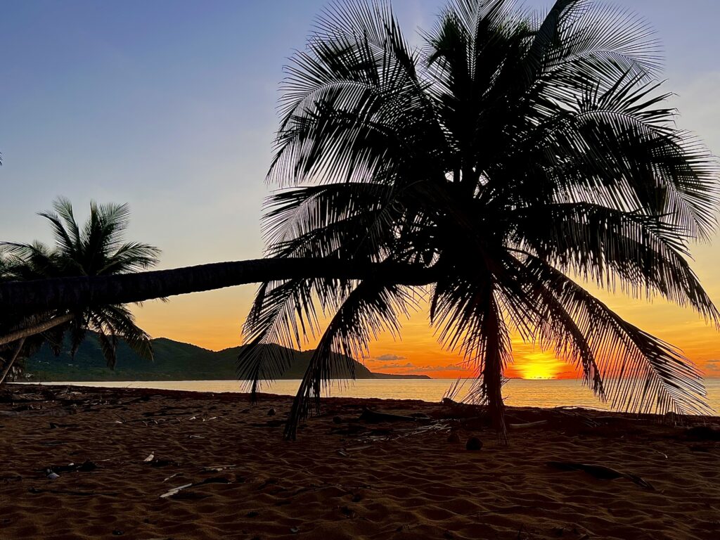 Palm tree at Playa California in Puerto Rico with sunrise in the background and mountains in the distance, creating a scenic and peaceful view