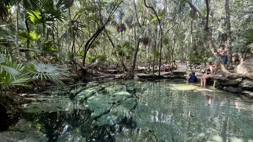 Stunning view of Cenote Azul in Mexico, showcasing crystal-clear turquoise water, surrounded by lush greenery and a serene natural setting