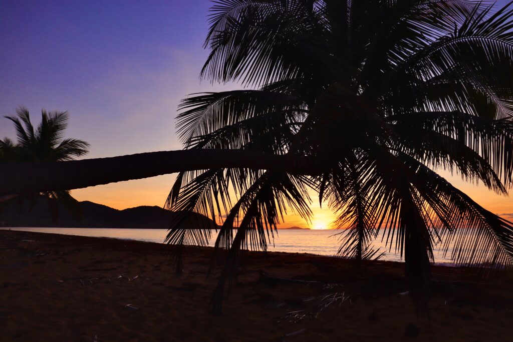 Sunrise behind a palm tree hanging over a sandy beach in Old San Juan, Puerto Rico, showcasing vibrant blues, yellows, oranges, and mountains in the background.