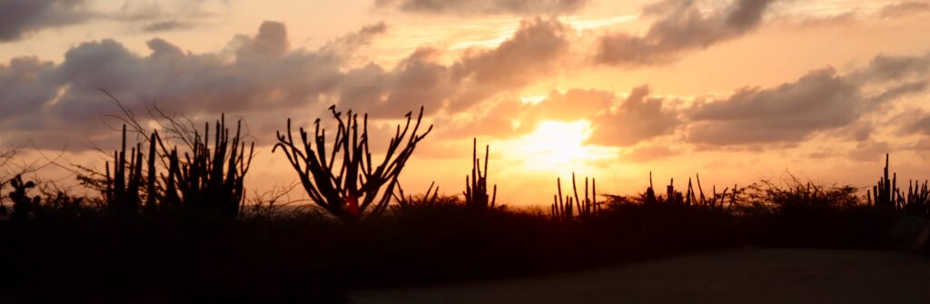 Sunrise in Aruba at the Alto Vista Chapel site, featuring cacti and a serene, picturesque landscape