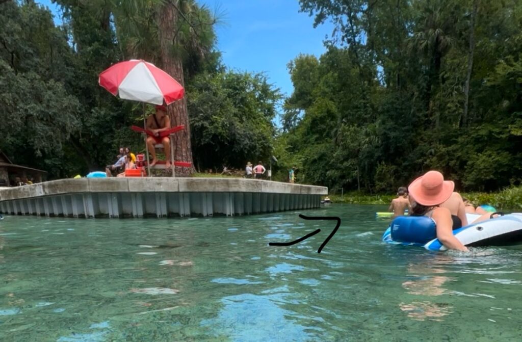 View where Kelly Park Rock Springs appears to end, with an arrow guiding visitors to continue right for a less crowded area with more open space for tubing.